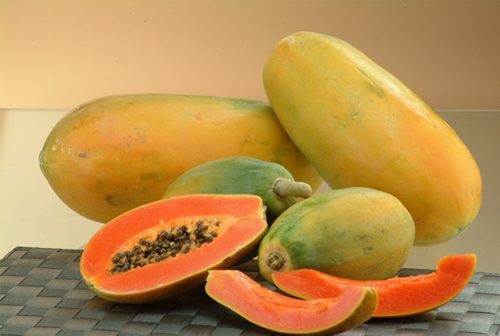 benefits offered by the papaya